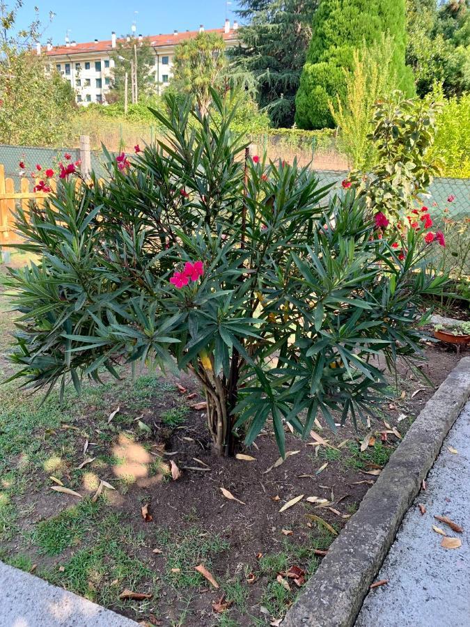 شقة A Casa Vermella Con Jardin A 10 Minutos De Santiago De Compostela Ortono المظهر الخارجي الصورة